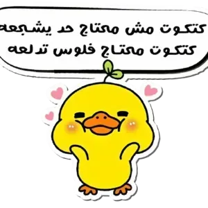 كتكوت مش محتاج حد يشجعه كتكوت محتاج فلوس تدلع