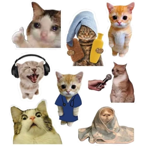 Cats sheet