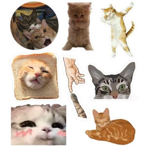 Cats sheet