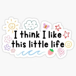 i think I like this little life 