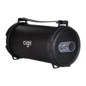 cigii