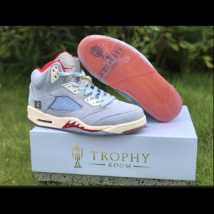 Men Jordan 5