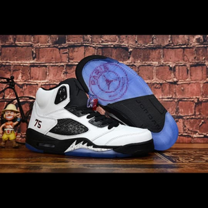 Men Jordan 5