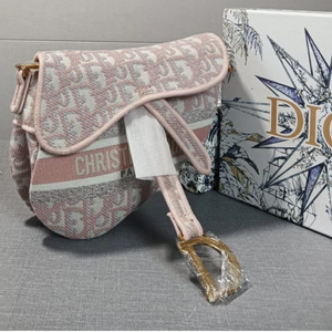 Saddle Dior bag 