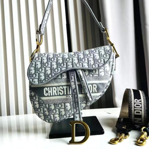 Saddle Dior bag 