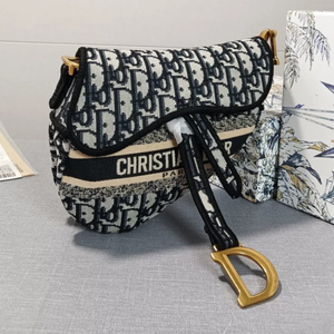 Saddle Dior bag 