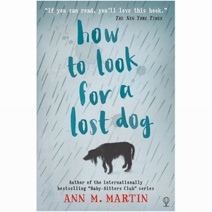 How to look for a lost dog