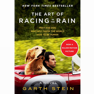 The art of racing in the rain
