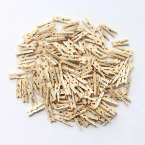 Mini Wood Pegs