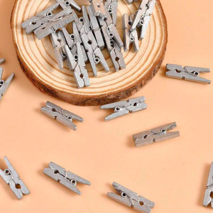 Silver Mini Wood Pegs