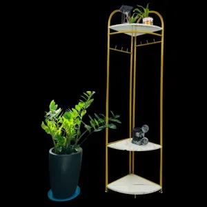 زاوية مع رفوف