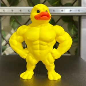 Koky Duck