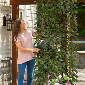 Treillis de Jardin extensible 1mx2m