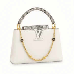 Louis Vuitton Hand Bag