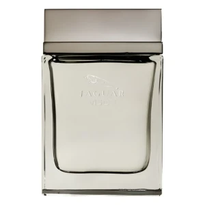 Jaguar Vision Jaguar