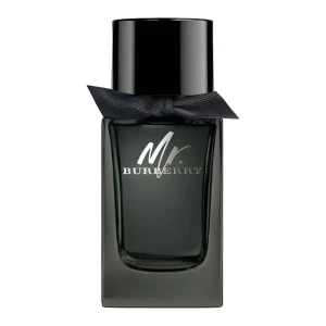 Mr. Burberry EDP