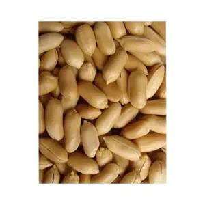 فستق سوداني ني 1كغ