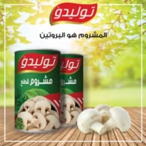 فطر توليدو 400 غ ض