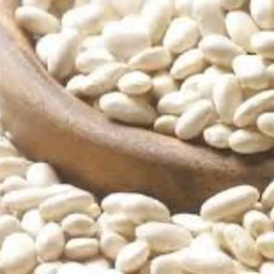 فاصوليا عادية المعدنلي 500 غ 