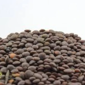 عدس أبو جبة المعدنلي 500 غ 