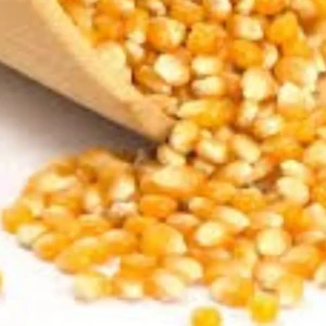 ذرة بوشار 1 كغ 