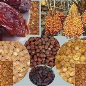 تمر أم القرى 5 كغ 