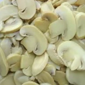 فطر سايب 1 كغ 