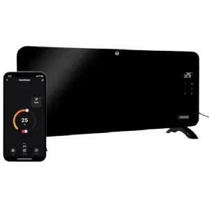 روديتر ديجتال 2000 برنسيس