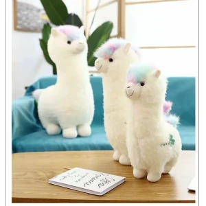ImageProduct