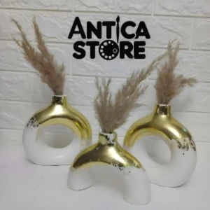 🍩 Dunuts Collection