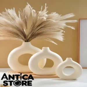 🍩Donuts Collection