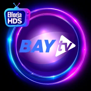 BAY TV