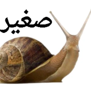 حلزون صغير