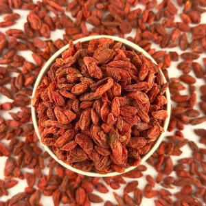 Goji Berry ( بربرين ) 
