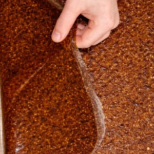 قمر الدين طبيعي تين