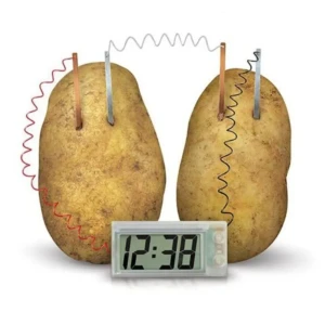 تجربة البطاطا