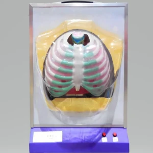 جهاز التنفسي الكهربائي