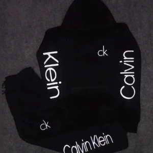 calvin klein