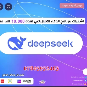 deepseek
