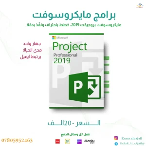 مايكرو سوفت بروجكت 2019