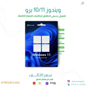ويندوز 11/10 برو 