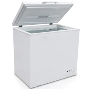  CONGELATEUR GEANT 260L 