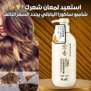 شامبو ساكورا