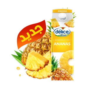 JUS DÉLICE DE FRUITS BOISSON AU JUS ANANAS 1L