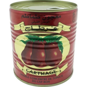 Concentré de Tomates Carthage 800g