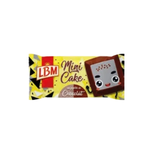 Mini cake LBM   40GR Aux pépites de chocolat