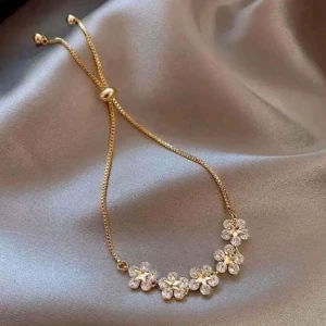 إنسيال استانلس راقي 