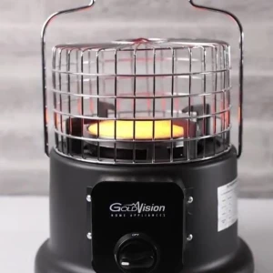 صوبة جولدفيجن 2 في 1