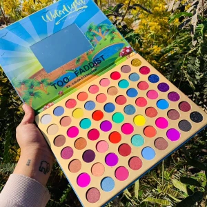 علبة ايشدو 63 لون باليت 