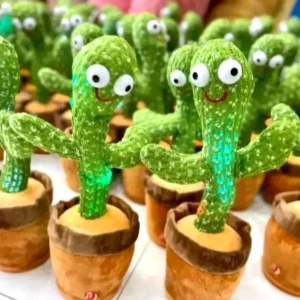 الصبارة الراقصة